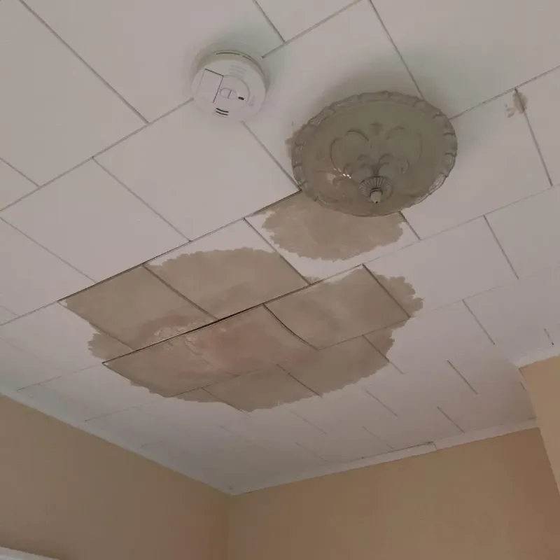 Ceiling Water Damage Repair in Mikoma, MS