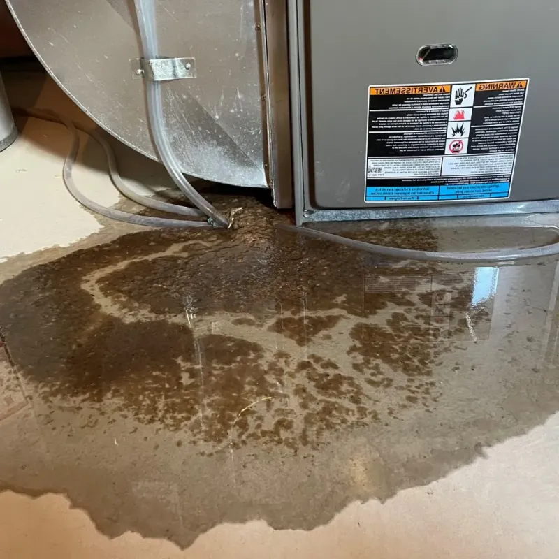 Pipe Burst and Leak Restoration in Mikoma, MS