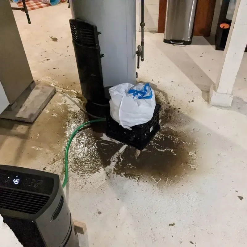 Sewage Backup Cleanup Service in Mikoma, MS